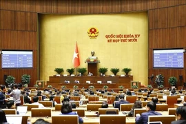 Panorama del evento. (Fuente: VNA)