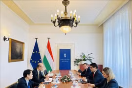 Panorama de la reunión. (Fuente: VNA)