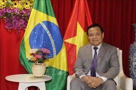 El embajador vietnamita en Brasil, Bui Van Nghi. (Fuente: Embajada)