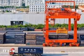 Las mercancías en el Puerto Ferroviario Internacional de Nanning, Guangxi, antes de ser trasladadas a Vietnam en el tren intermodal Vietnam-China. (Foto: VNA)