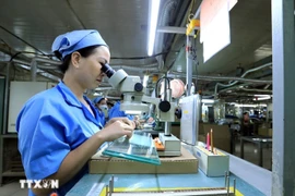 Foto de ilustración. (Fuente: VNA)