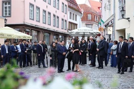 El primer ministro vietnamita, Pham Minh Chinh, y su esposa visitan el espacio, la arquitectura y la historia del casco antiguo de Tallin. (Foto: VNA)