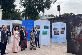Delegados en el evento. (Fuente: VNA)