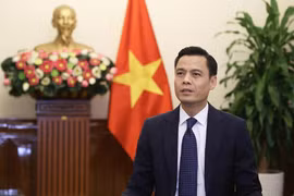 El viceministro de Relaciones Exteriores de Vietnam Dang Hoang Giang. (Fuente: VNA)