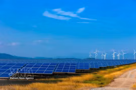 Parque de energía eólica y solar del Grupo Trung Nam en la provincia de Khanh Hoa. (Foto: VNA)