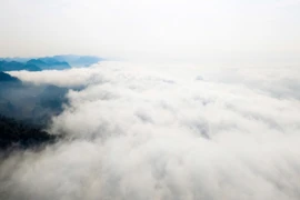 Turistas cazan nubes en la meseta de Moc Chau 