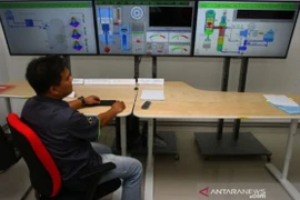 Foto de ilustración. (Foto: en.antaranews.com)