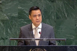 El embajador Dang Hoang Giang, jefe de la misión permanente de Vietnam ante la Organización de las Naciones Unidas. (Fuente: VNA)
