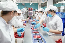 Línea de envasado de productos en la empresa ecológica Vissan. (Fuente: Internet)