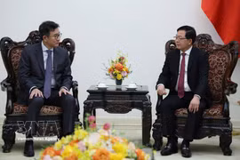 El viceprimer ministro Ho Quoc Dung recibe a Yongsoo Huh, vicepresidente del consejo de administración y director general del grupo energético GS de Corea del Sur. (Fuente: VNA)