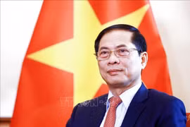 El vicepremier y canciller vietnamita Bui Thanh Son. (Fuente: VNA)