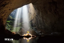 Le belleza de Son Doong, la cueva más grande del mundo. (Fuente: VNA)