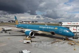 Avión de Vietnam Airlines. (Fuente: VNA)