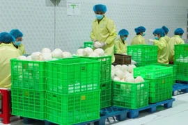 Foto de ilustración. (Fuente:nhandan.vn)