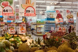 Foto de ilustración. (Fuente: VNA)