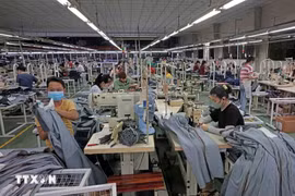 La empresa Viet Thang JEAN exporta millones de productos a los mercados de la Unión Europea, Estados Unidos, Japón y Corea del Sur cada año. (Fuente: VNA)
