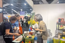 Visitantes en el pabellón vietnamita. (Fuente: VNA)