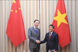 El viceministro permanente de Relaciones Exteriores de Vietnam, Nguyen Minh Vu, y su homólogo chino Sun Weidong. (Fuente: Cancillería vietnamita)