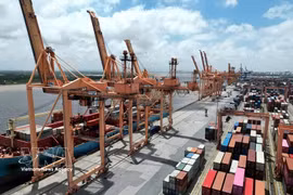 Exportaciones agroforestales y acuáticas de Vietnam registran un fuerte avance en primeros cinco meses