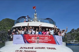 Delegados visitan la bahía de Lan Ha en crucero. (Fuente: VNA)
