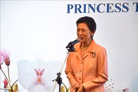 La Princesa Takamado, presidenta honoraria de la organización Ikebana International. (Fuente: VNA)