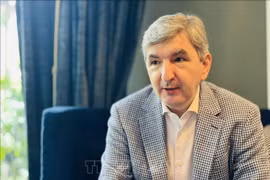 El embajador lituano en Singapur y concurrente en Vietnam, Darius Gaidys. (Fuente: VNA)