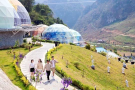 Moc Chau en flor: Un paseo por un paraíso de ensueño