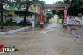 La escuela primaria Thu Thuy, en el barrio de Cua Lo se ve inundada. (Foto: VNA)