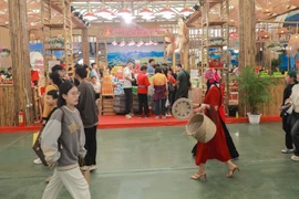 Foto de ilustración. (Fuente: VNA)