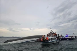 Fuerzas competentes realizan tareas de búsqueda y rescate. (Fuente: VNA)