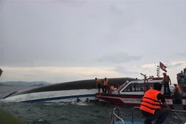 Fuerzas competentes realizan tareas de búsqueda y rescate. (Fuente: VNA)