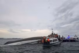 Fuerzas competentes realizan tareas de búsqueda y rescate. (Fuente: VNA)