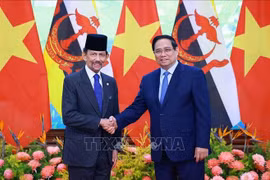El primer ministro vietnamita, Pham Minh Chinh, y el Sultán de Brunéi, Haji Hassanal Bolkiah. (Fuente: VNA)