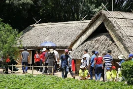 Mucha gente visitó la aldea de loto con motivo del 135 aniversario de l natalicio del Presidente Ho Chi Minh. (Foto: sggp.org.vn)