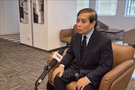 El profesor Vu Minh Khuong, de la Escuela de Políticas Públicas Lee Kuan Yew de Singapur. (Fuente: VNA)