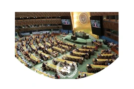 Vietnam reelegido al Consejo de Derechos Humanos de la ONU