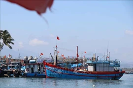 Foto de ilustración. (Fuente: VNA)