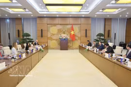Panorama de la reunión. (Fuente: VNA)