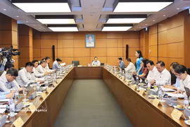 Diputados de Ciudad Ho Chi Minh en el debate en grupos. (Fuente: VNA)
