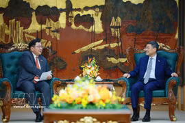 El primer ministro de Vietnam, Le Minh Hung, (derecha) recibe al embajador saliente de Malasia, Tan Yang Thai. (Fuente: VNA)