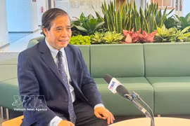 El profesor Vu Minh Khuong de la Escuela de Políticas Públicas Lee Kuan Yew (Singapur). (Fuente: VNA)
