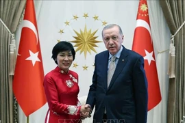 La embajadora de Vietnam en Turquía, Dang Thi Thu Ha, y el presidente turco, Recep Tayyip Erdogan. (Fuente: VNA)