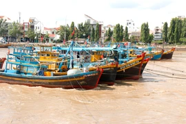 Barcos pesqueros anclados en el río Ca Ty, barrio de Phan Thiet, Lam Dong. (Fuente: VNA)