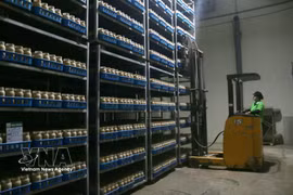 Los robots que realizan tareas de carga y descarga ayudan a reducir el trabajo manual y a mejorar la eficiencia laboral. (Foto: VNA)