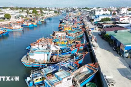 Foto de ilustración. (Fuente: VNA)