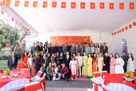 Delegados en el evento. (Fuente: VNA)