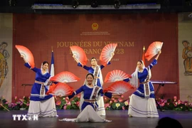 Una de las actuaciones artísticas en el evento. (Fuente: VNA)