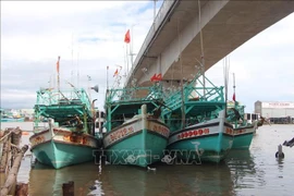 Barcos anclados en en la desembocadura del río Doc. (Fuente: VNA)