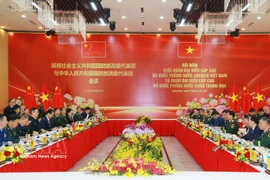 Panorama de la reunión. (Fuente: VNA)