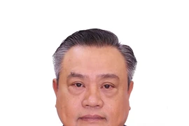 Tran Sy Thanh, miembro del Buró Político y jefe de la Comisión de Control Disciplinario del Comité Central del XIII mandato. (Fuente: VNA)